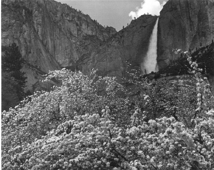 aa_upper_yosemite_fall_with_apple_blossom