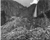 aa_upper_yosemite_fall_with_apple_blossom