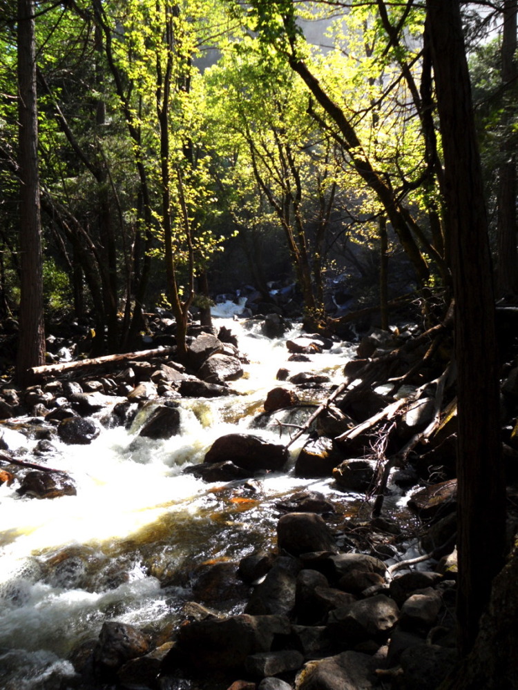 Bridal Veil Creek