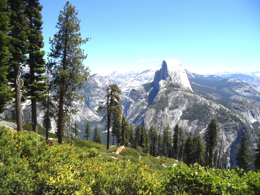 Half Dome from the Panorama Trail