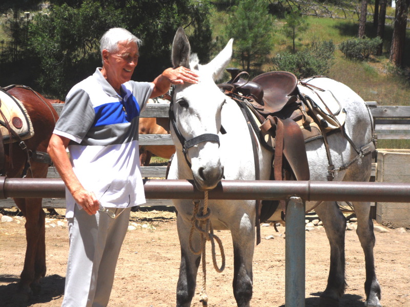 Ron and a Horse