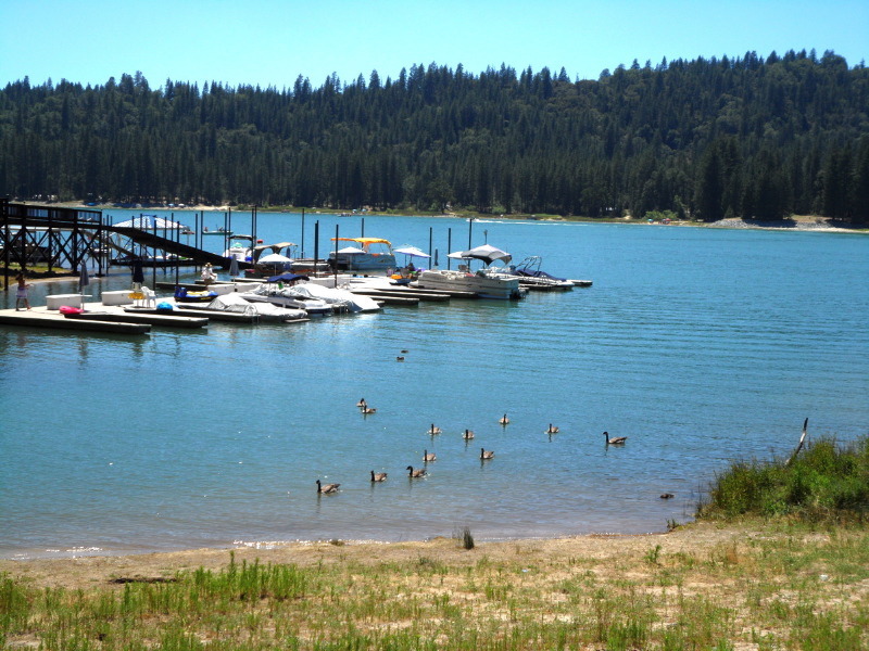 Boat Dock at Bass Lake