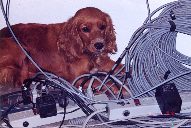 bonnie_cabling_2