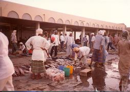 fish_market_2