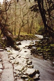 Ingleton_FallsF.001