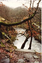 Ingleton_FallsF.007