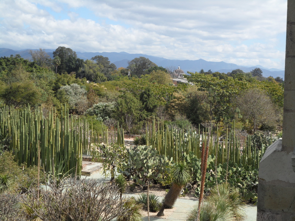 OAXACA_1533