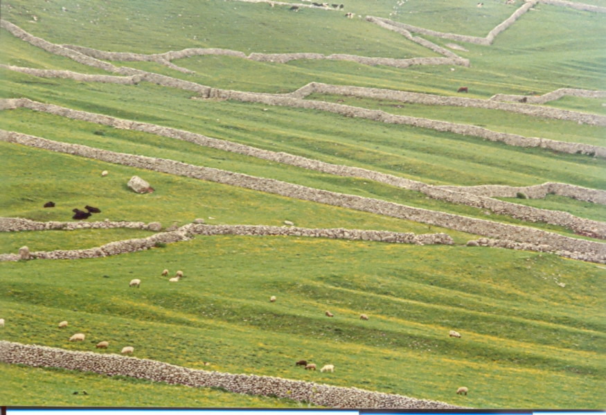 limestone_walls_yorks