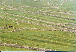 limestone_walls_yorks