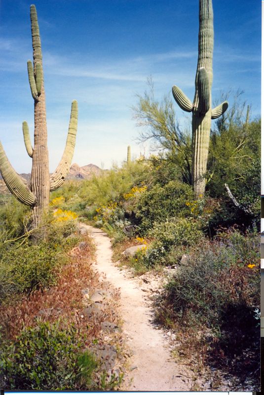 az05