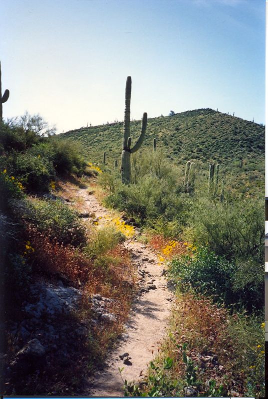 az06