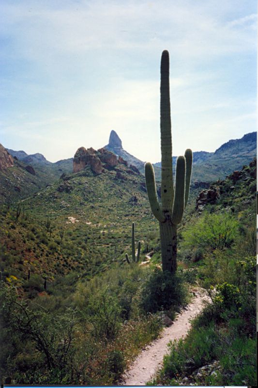 az08