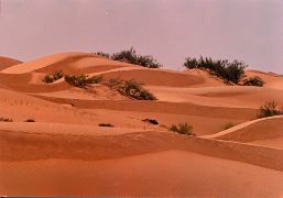 desert_1