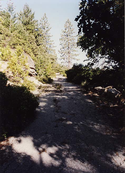 Old_Wawona_Road