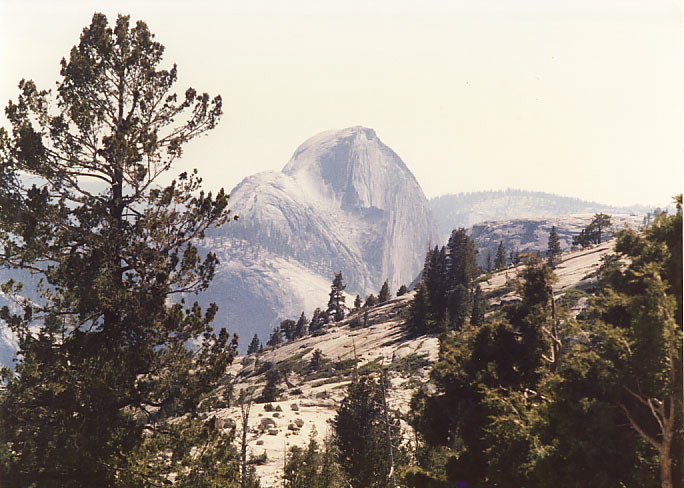 Halfdome-tenaya