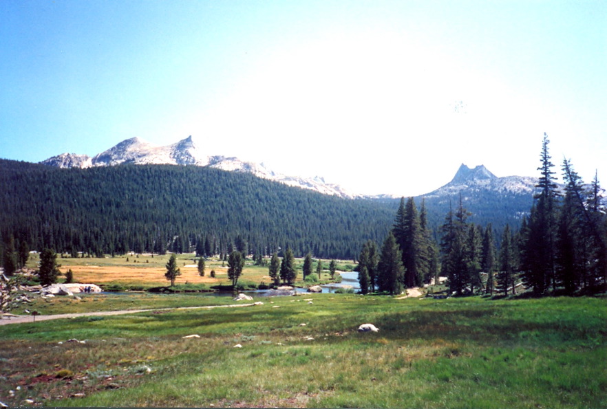 Tuolumne_Meadows_2