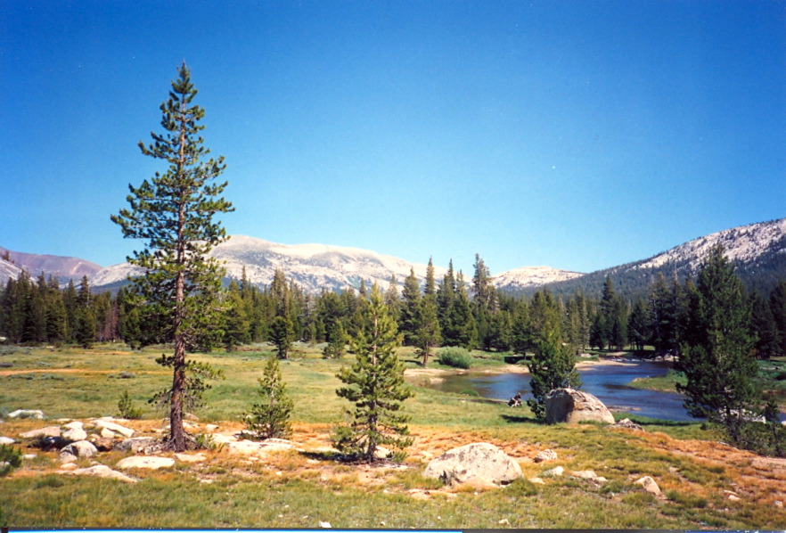 Tuolumne_Meadows_3