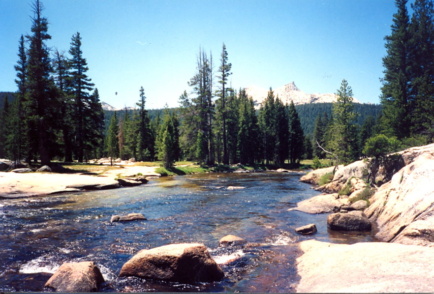 Tuolumne_Meadows_4