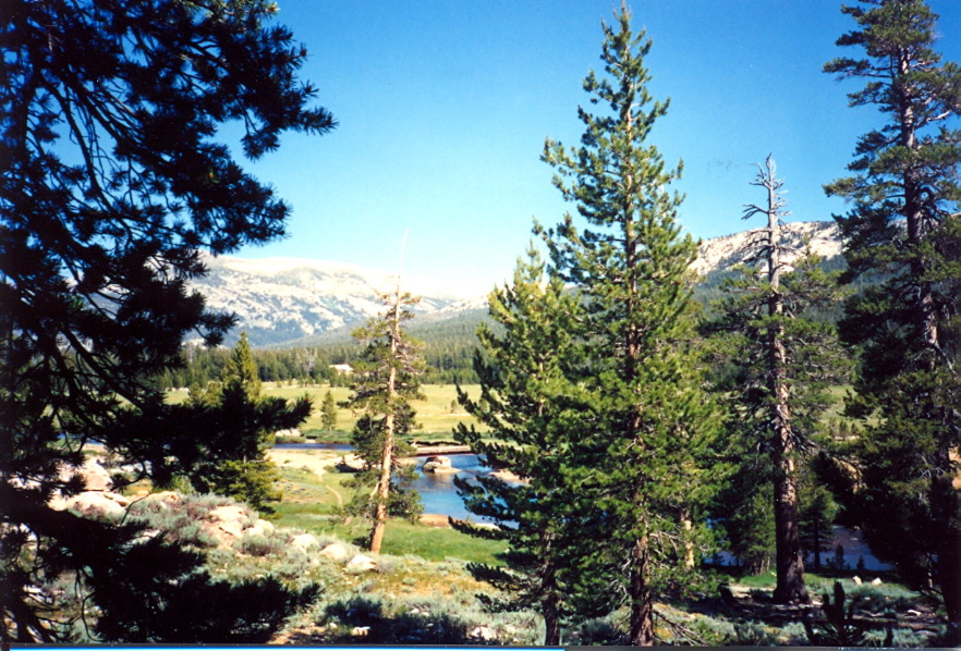 Tuolumne_Meadows_6