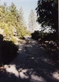 Old_Wawona_Road