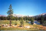 Tuolumne_Meadows_3