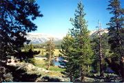 Tuolumne_Meadows_6