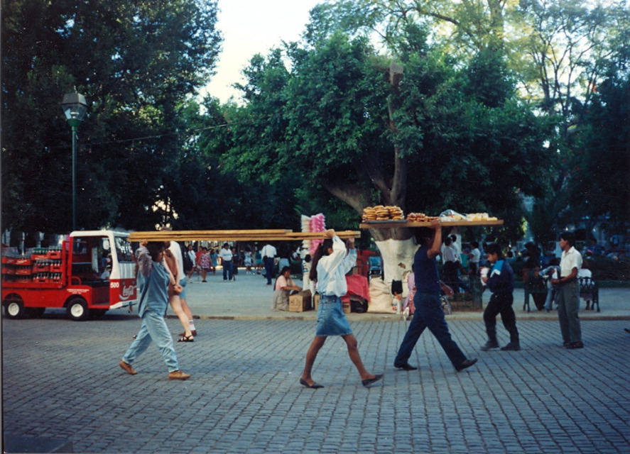 zocalo_oaxaca_2