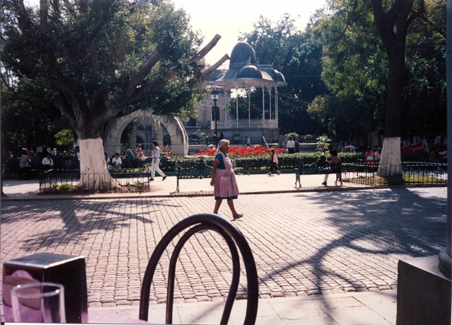 zocalo_oaxaca_1