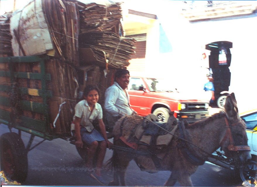 zocalo_oaxaca_8